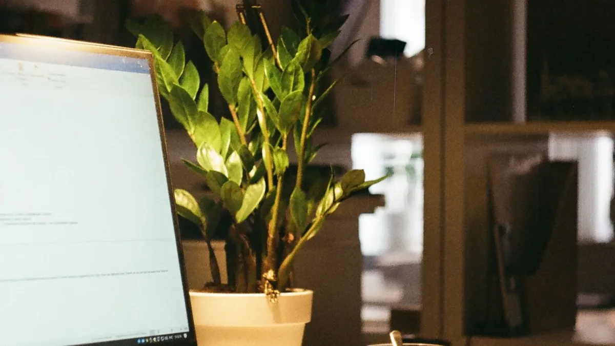 Awaria laptopa przed prezentacją lub egzaminem — przegląd laptopa przed dłuższą podróżą służbową